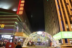 更有文化公园、龙凤新河景不雅带、市政绕